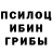 Псилоцибиновые грибы прущие грибы Basak