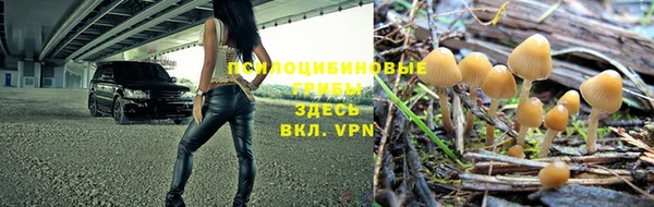 дживик Алексеевка