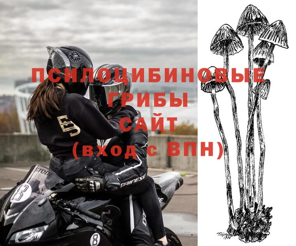 соль курить ск Алзамай