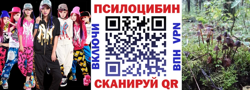 Псилоцибиновые грибы Psilocybe  mega как зайти  Самара 