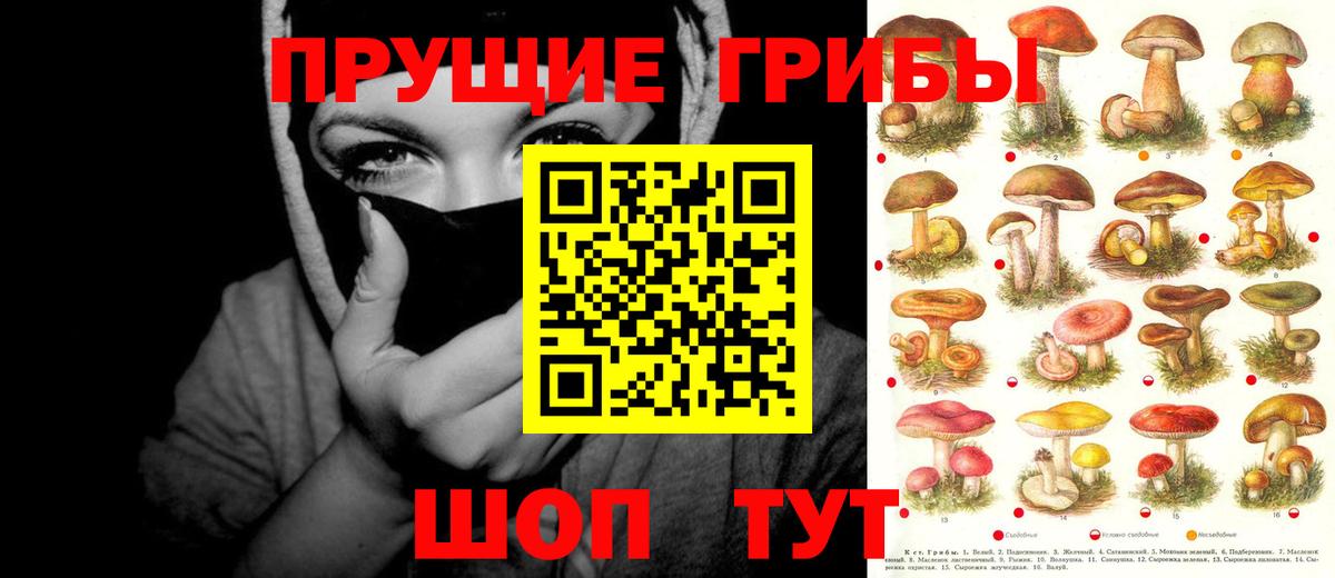 Псилоцибиновые грибы мухоморы Самара